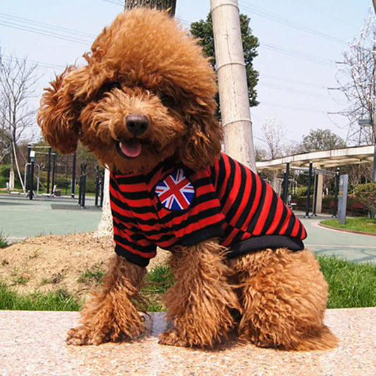 Pet Dog Clothes Summer