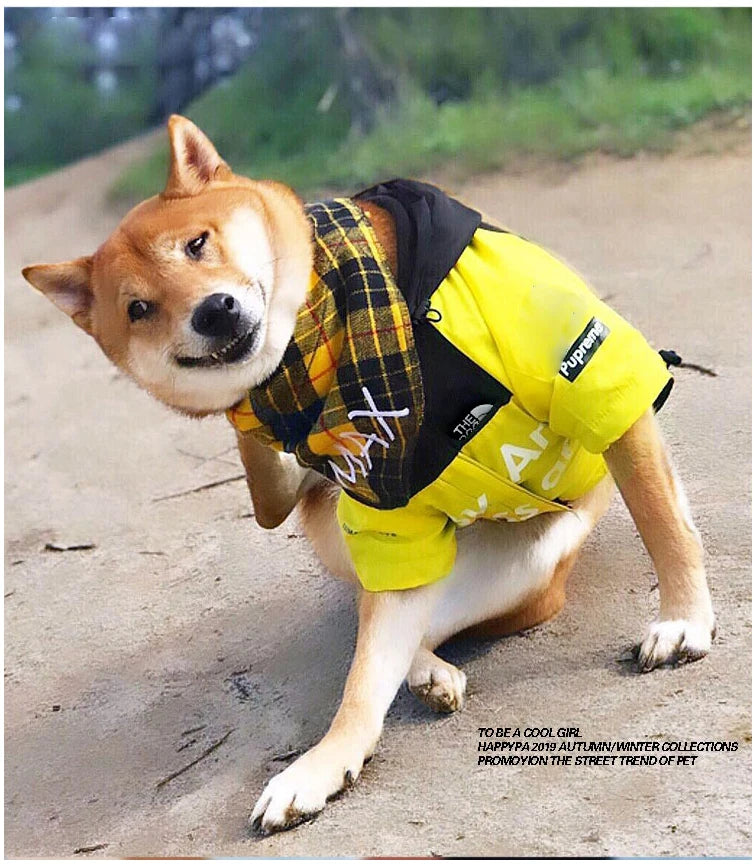 Dog Waterproof Coat