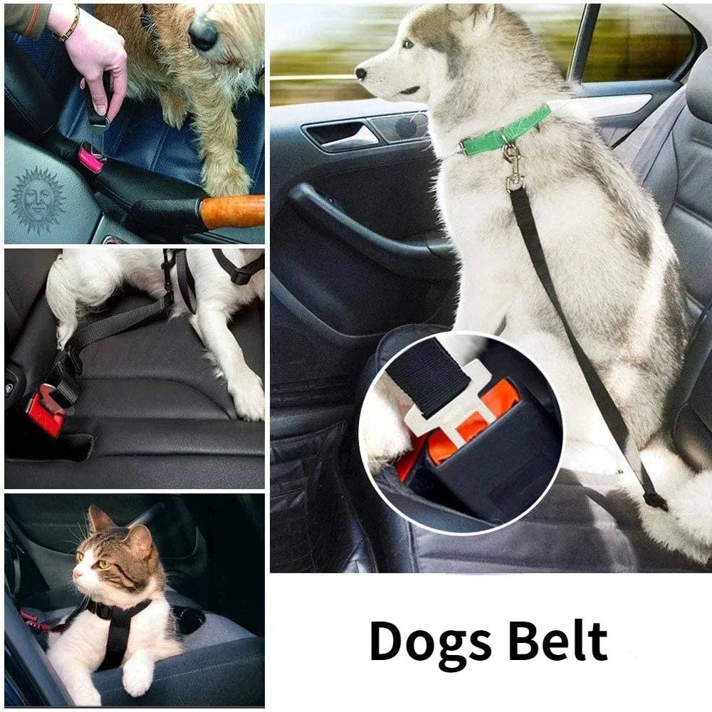 Pet Seat Belt - Pet Seat Belt