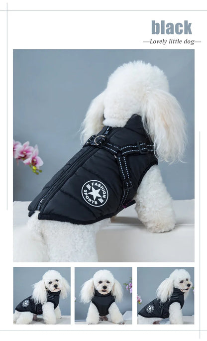 Dog Jacket