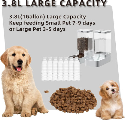 Dog Feeder Cat Water Dispenser Automatic