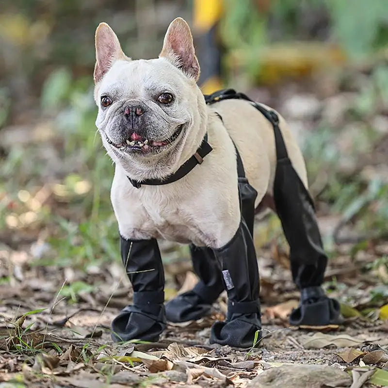 Dog Boots Anti-Slip Dog Shoes with Rugged Rubber Sole