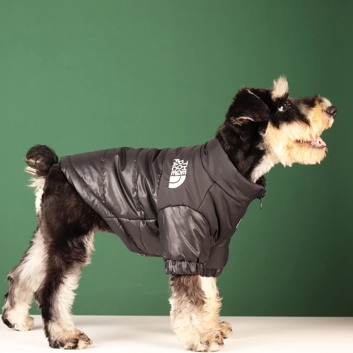 Dog Jacket