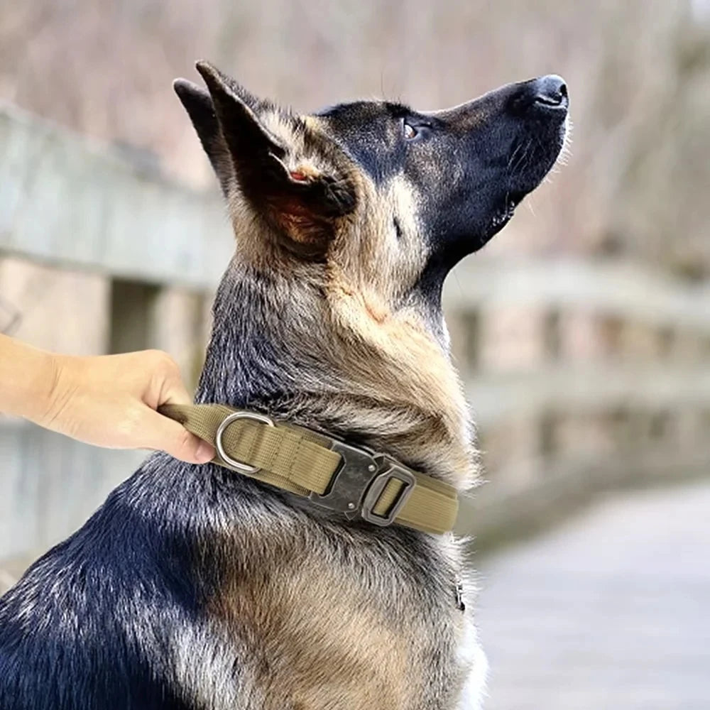 Dog Collar Military Adjustable Duarable