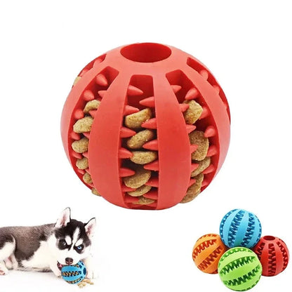 Dog Toy Dog Ball Toys for Small Dogs Interactive Elasticity Chew Toy  