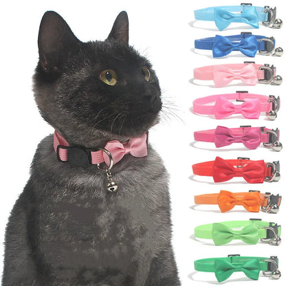 pet collars