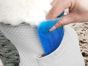 Dog Cooling Vest with Ice Pack