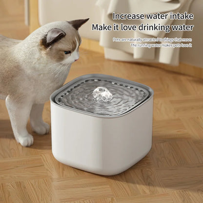 Cat Water Dispenser