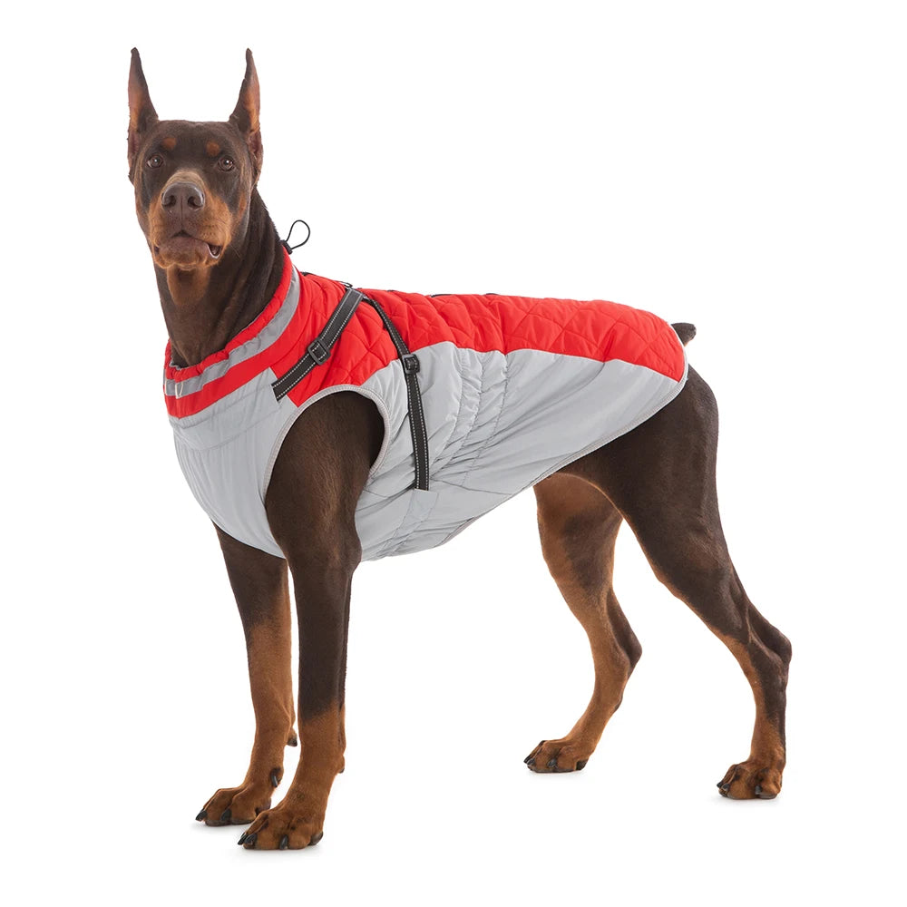 Waterproof Pet Jacket