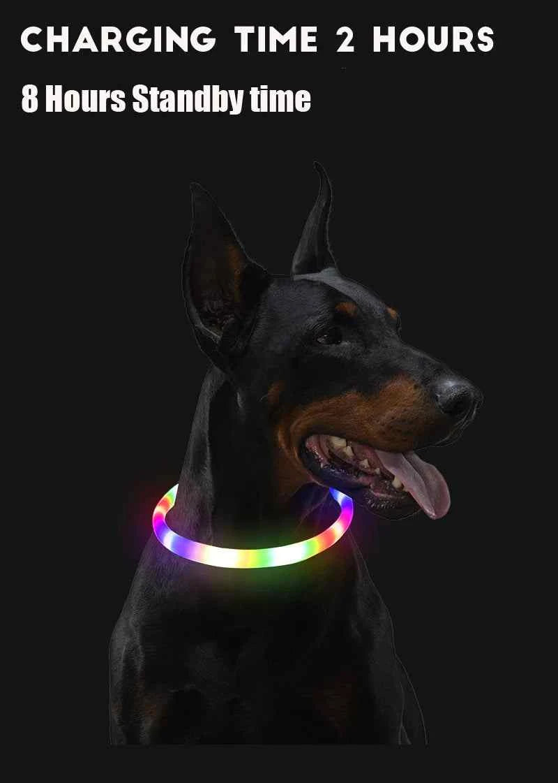 LED Dog Collar - Light Up Dog Collar - Glowing LED Dog Collar with 3 Modes Luminous USB