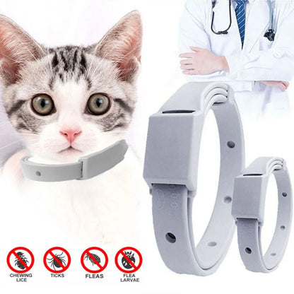 Collar For Cat Small Dog Antiparasitic