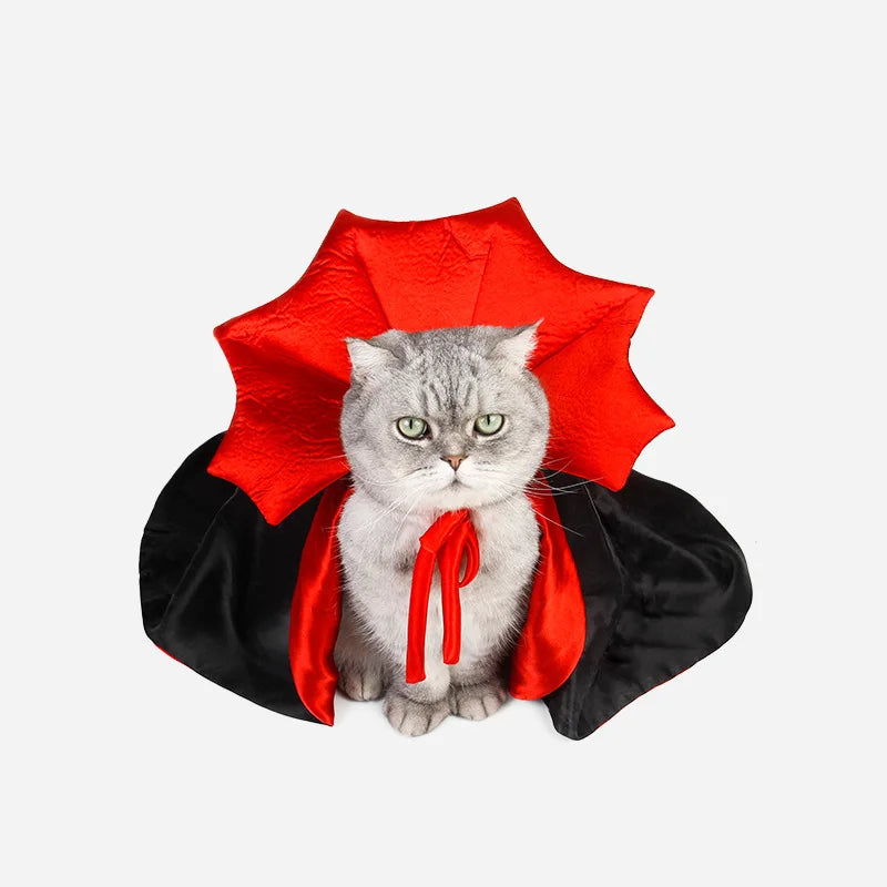 Halloween Pet Costumes