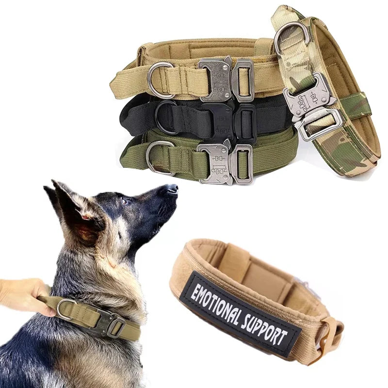 Dog Collar Military Adjustable Duarable