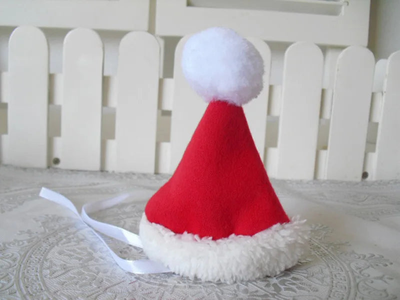 Santa Pet Costume