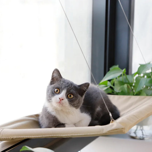 Cat Hammock Window Hanger