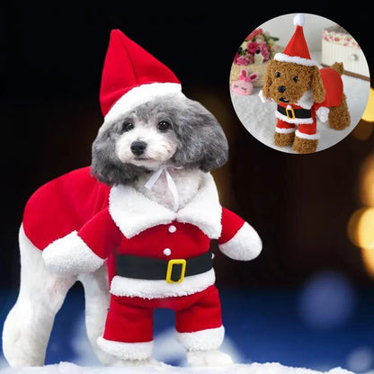 Santa Pet Costume