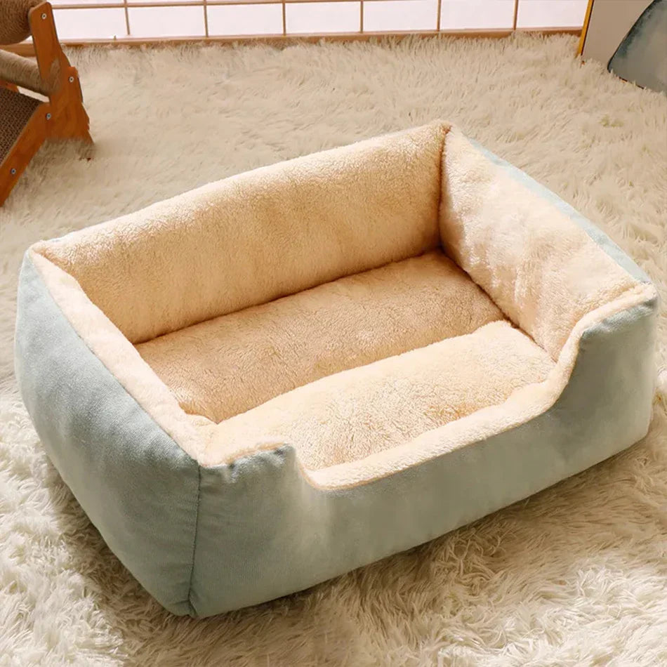 Bed for cats