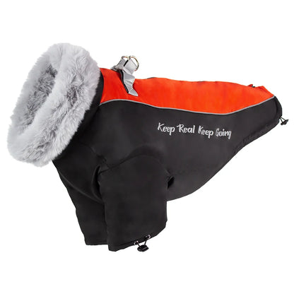 Dog Clothes Winter Golden Retriever