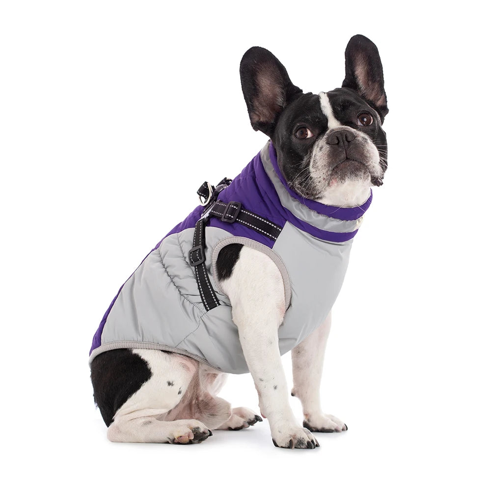 Waterproof Pet Jacket