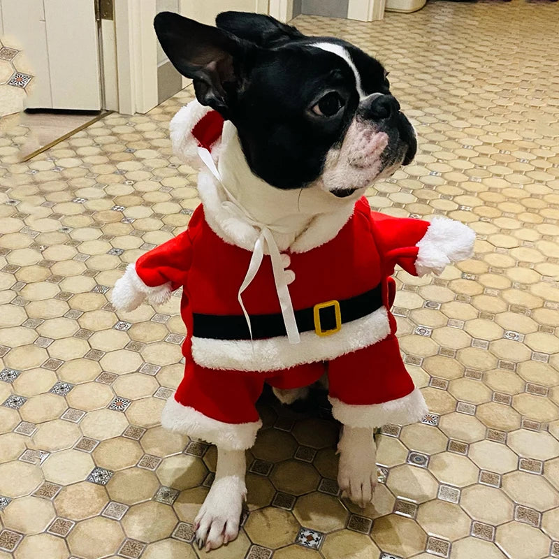 Santa Pet Costume