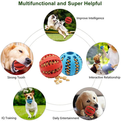 Dog Toy Dog Ball Toys for Small Dogs Interactive Elasticity Chew Toy  