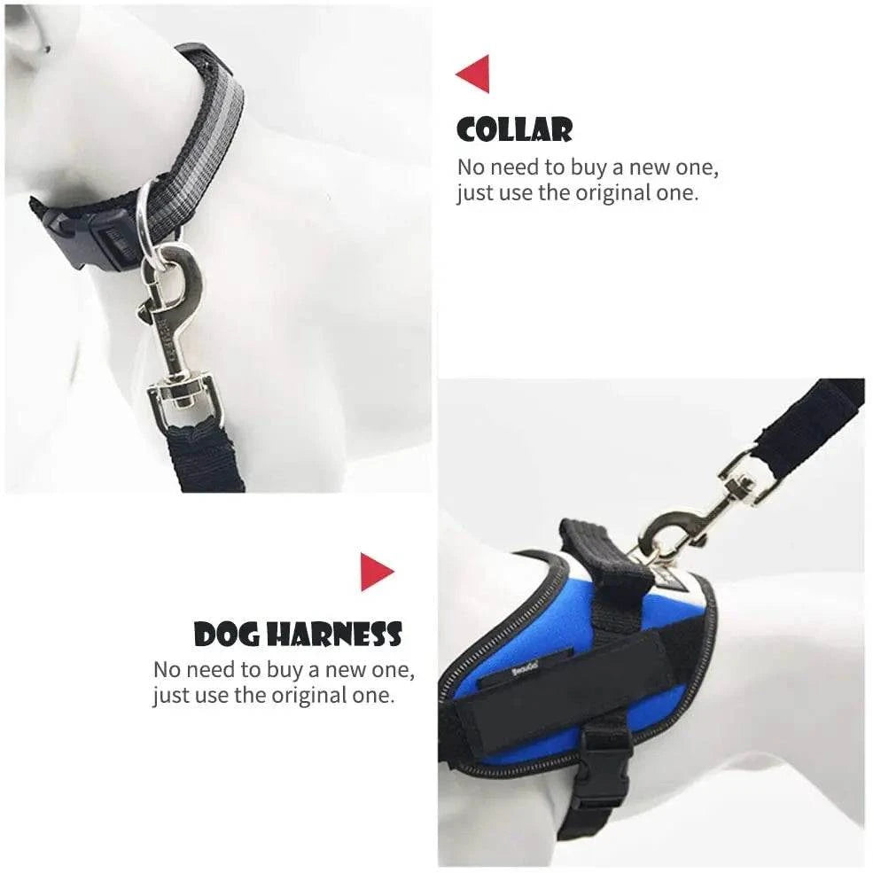 Dog Seat Belt