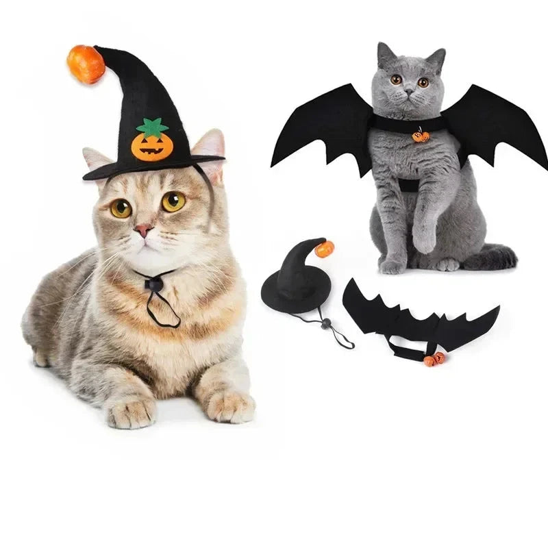 Halloween Small Pets