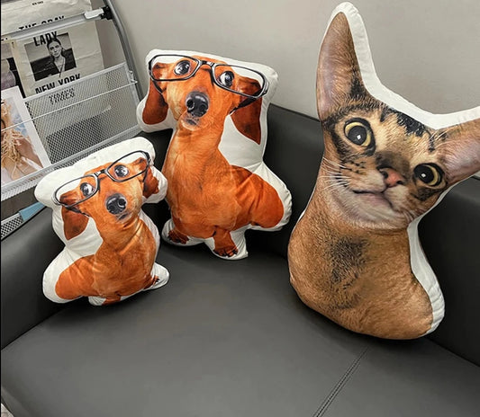 Custom Pet Pillow