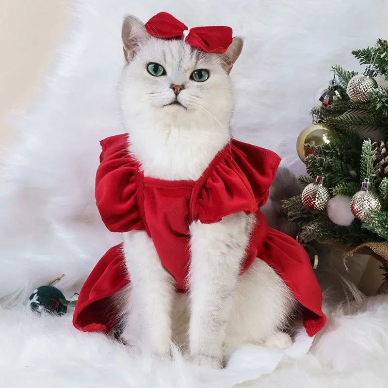 Holiday Pet Dress