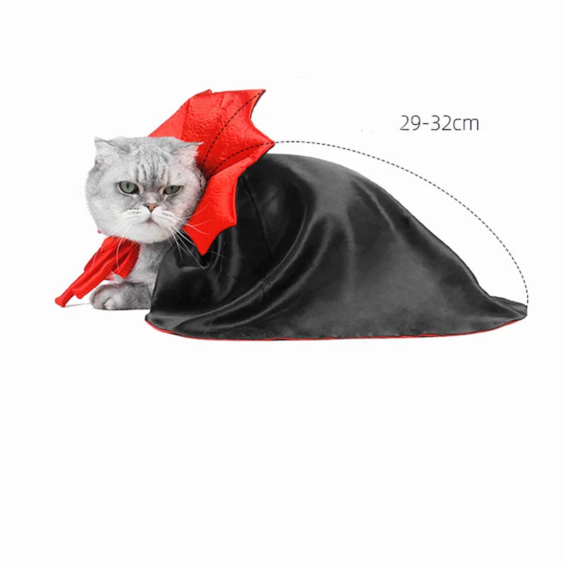 Halloween Pet Costumes