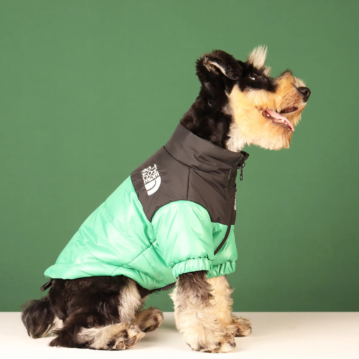 Dog Jacket