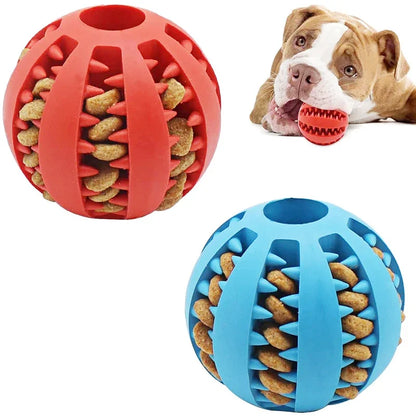 Dog Toy Dog Ball Toys for Small Dogs Interactive Elasticity Chew Toy  