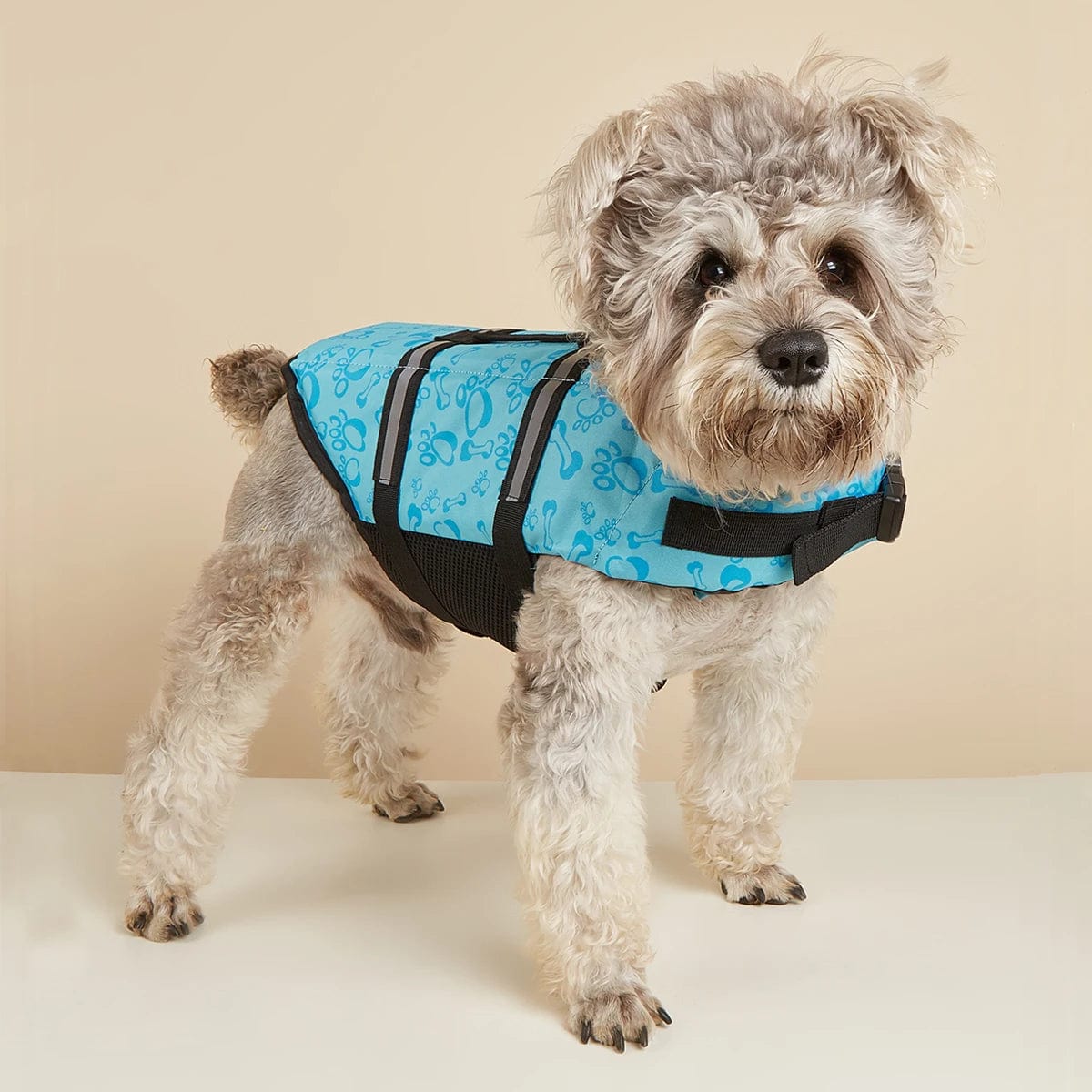 Dog Life Jacket