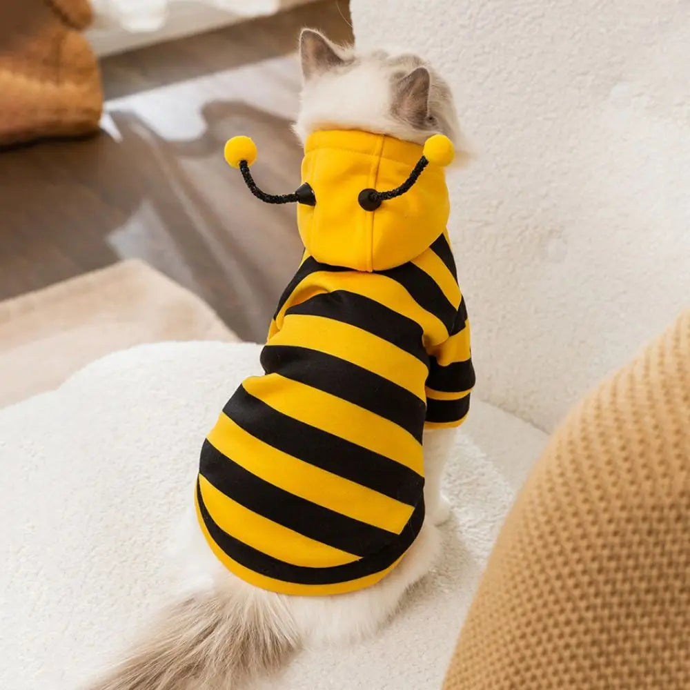 Pet Halloween Costume