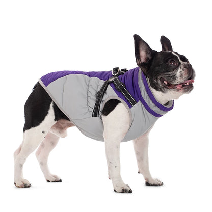 Waterproof Pet Jacket