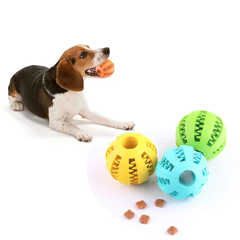 Dog Toy Dog Ball Toys for Small Dogs Interactive Elasticity Chew Toy  