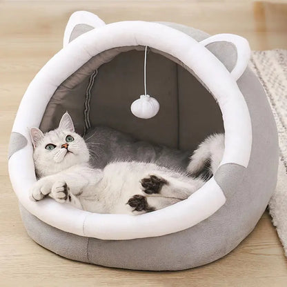 cute cat bed