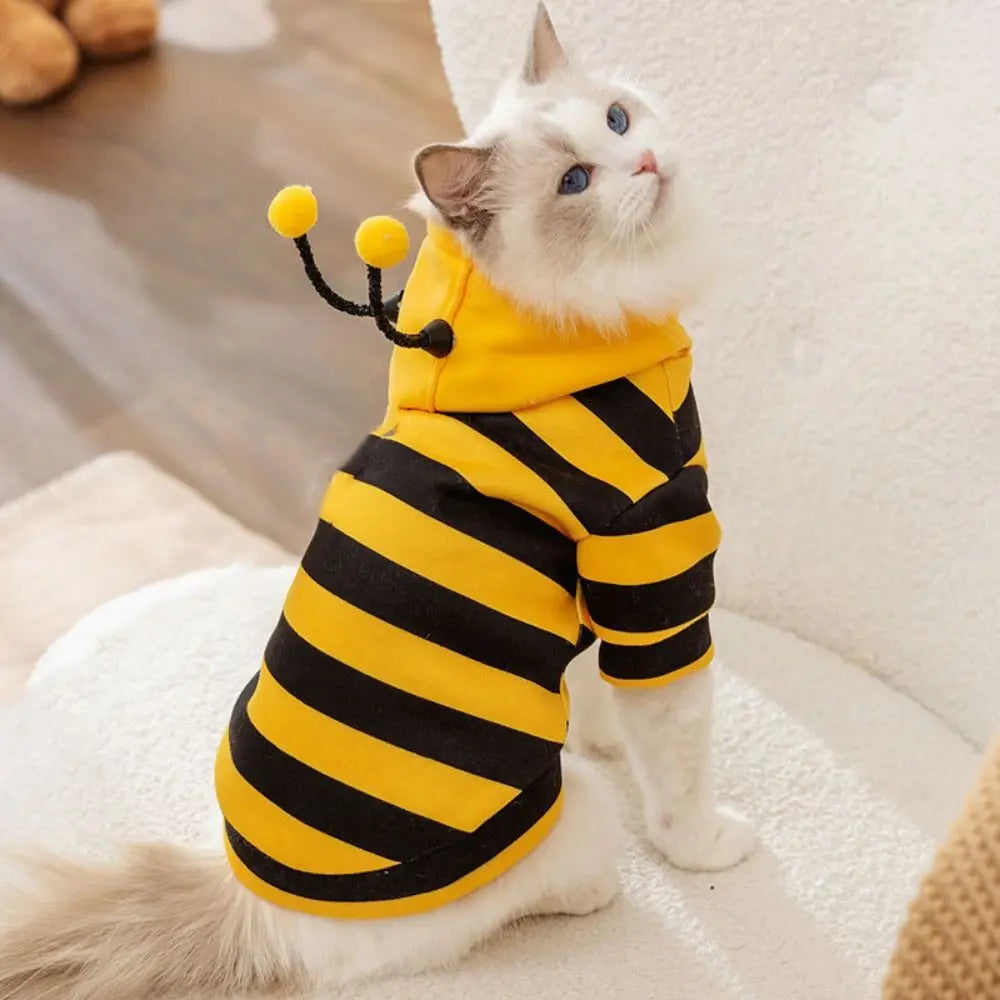 Pet Halloween Costume