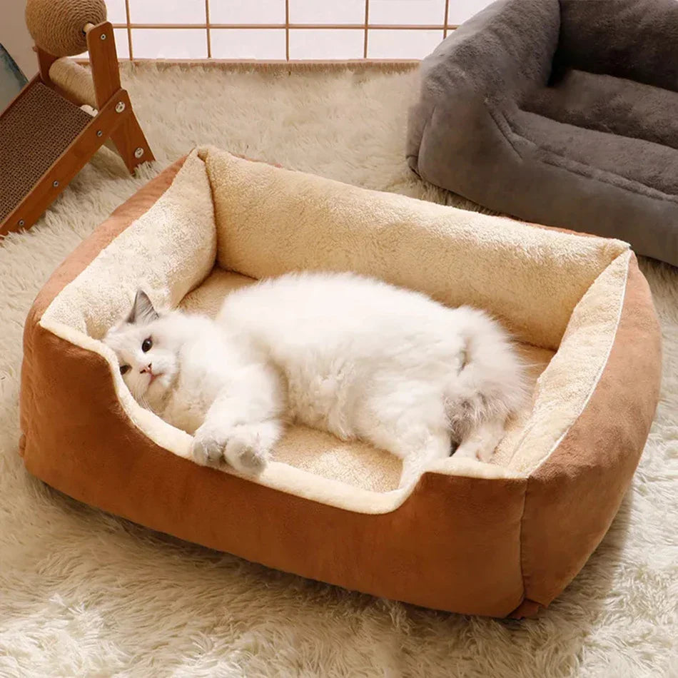 Bed for cats