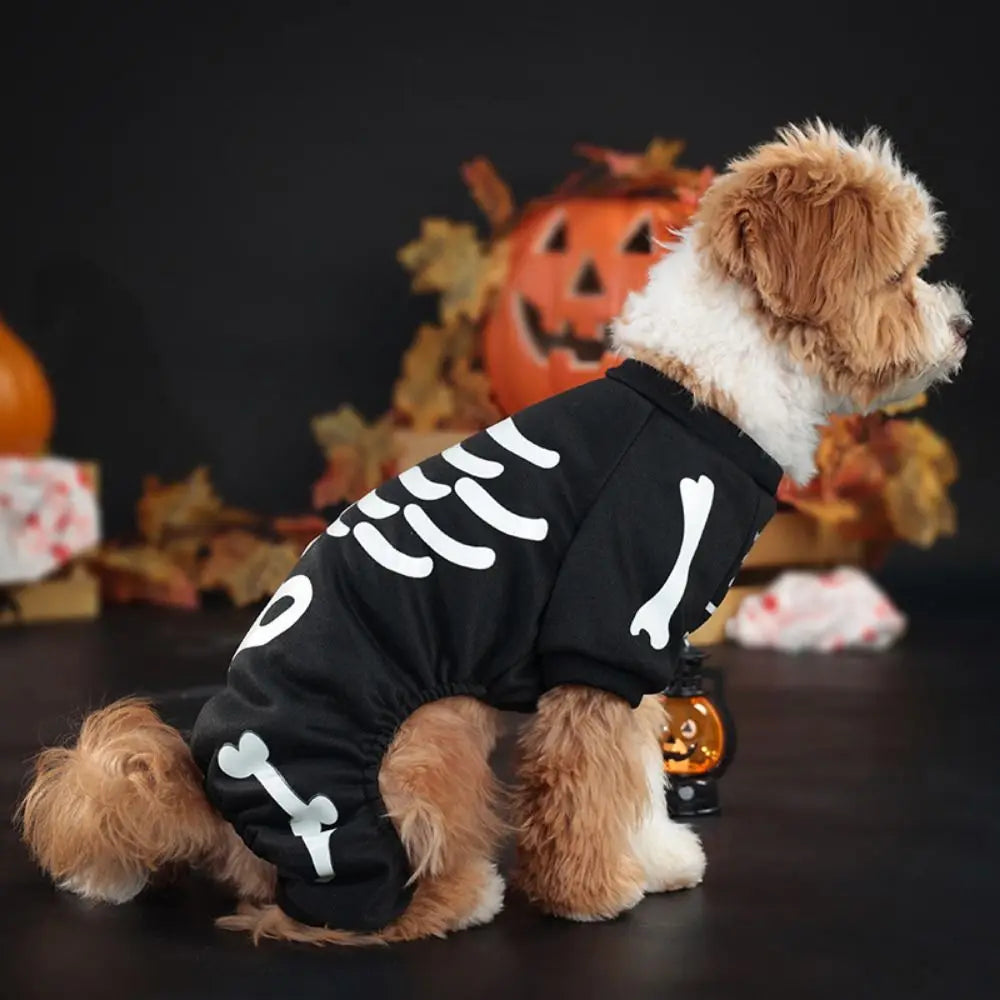 Dog Clothes Halloween