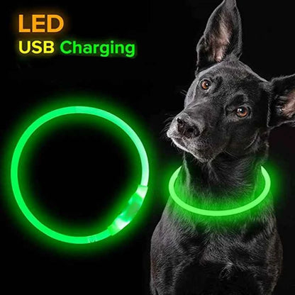 LED Dog Collar - Light Up Dog Collar - Glowing LED Dog Collar with 3 Modes Luminous USB