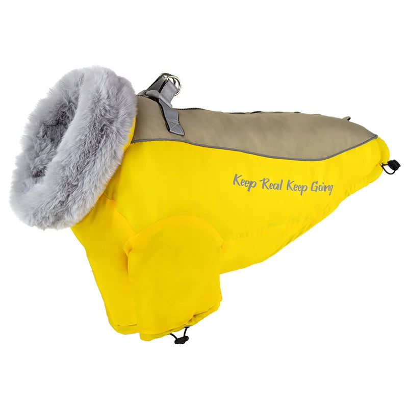 Dog Clothes Winter Golden Retriever