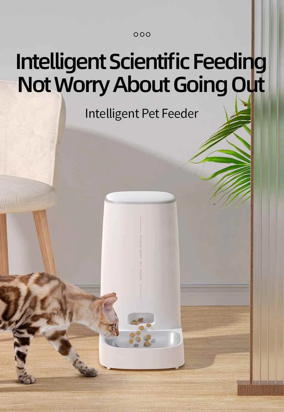 Cat Dog Dry Food Optimization - Automatic Cat Feeder - Remote Control Pet Food Dispenser wifi-enabled