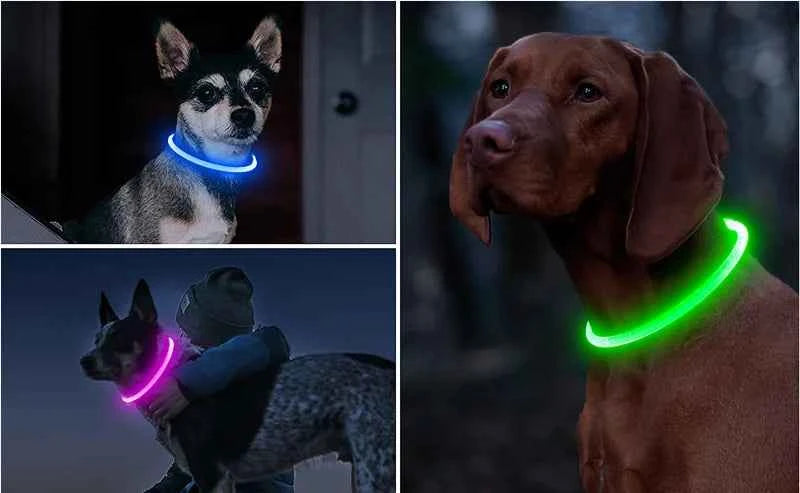 LED Dog Collar - Light Up Dog Collar - Glowing LED Dog Collar with 3 Modes Luminous USB