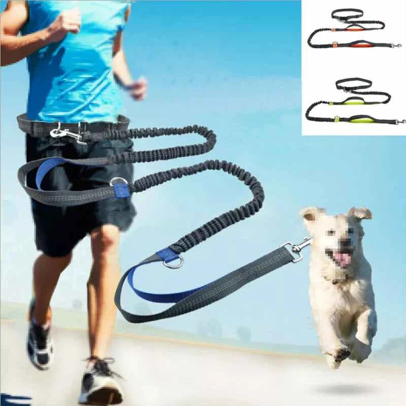 elastic reflective dog leash traction rope metal