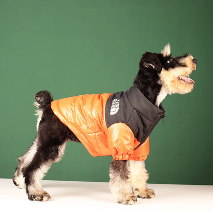 Dog Jacket