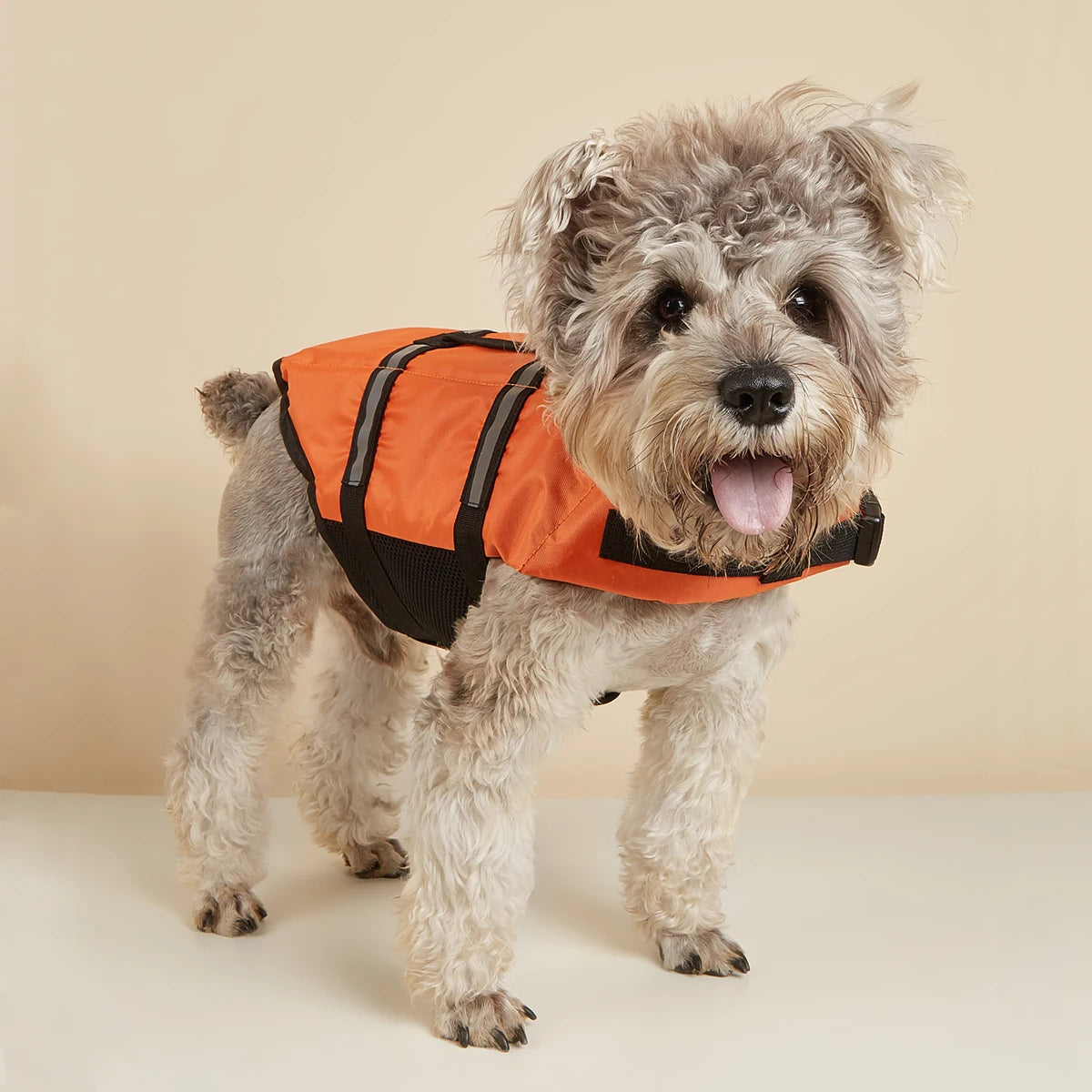 Dog Life Jacket