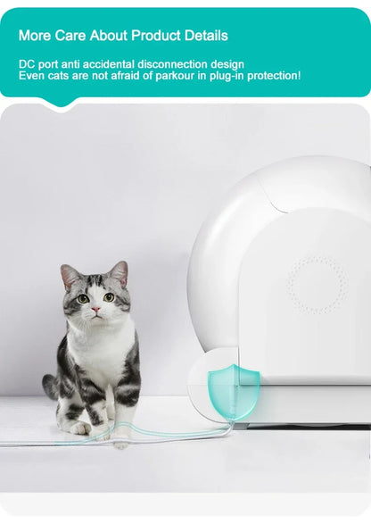 Automatic Litter Box