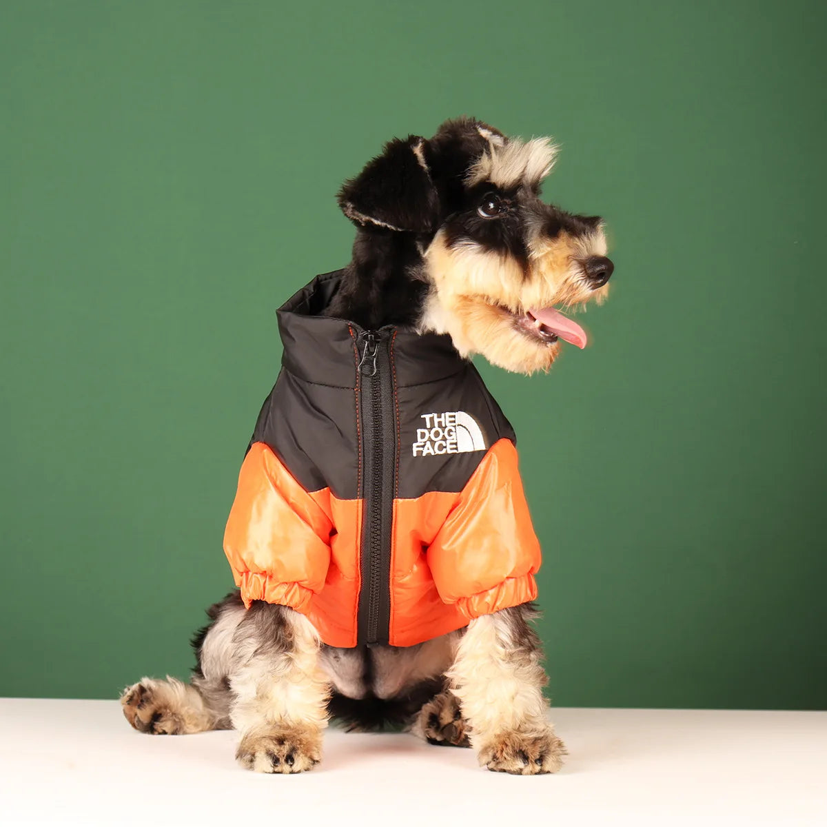 Dog Jacket