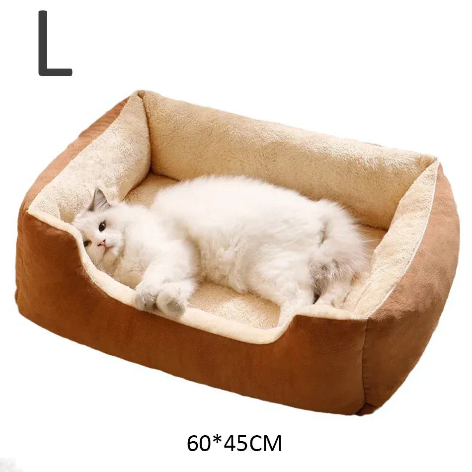 Bed for cats